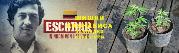 гидропоника Семёнов