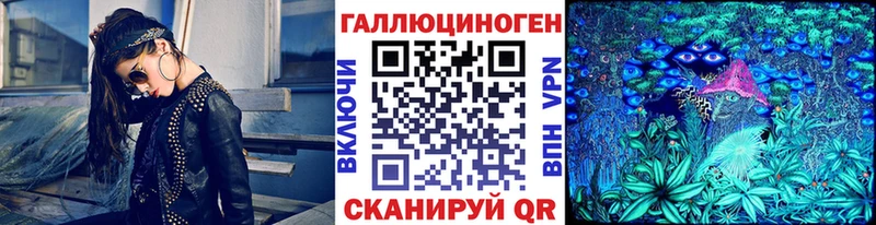 где продают наркотики  Богородицк  Псилоцибиновые грибы GOLDEN TEACHER 