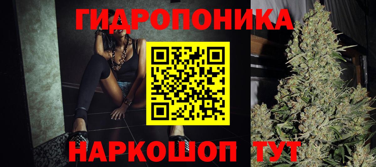 Бошки Шишки сатива Богородицк